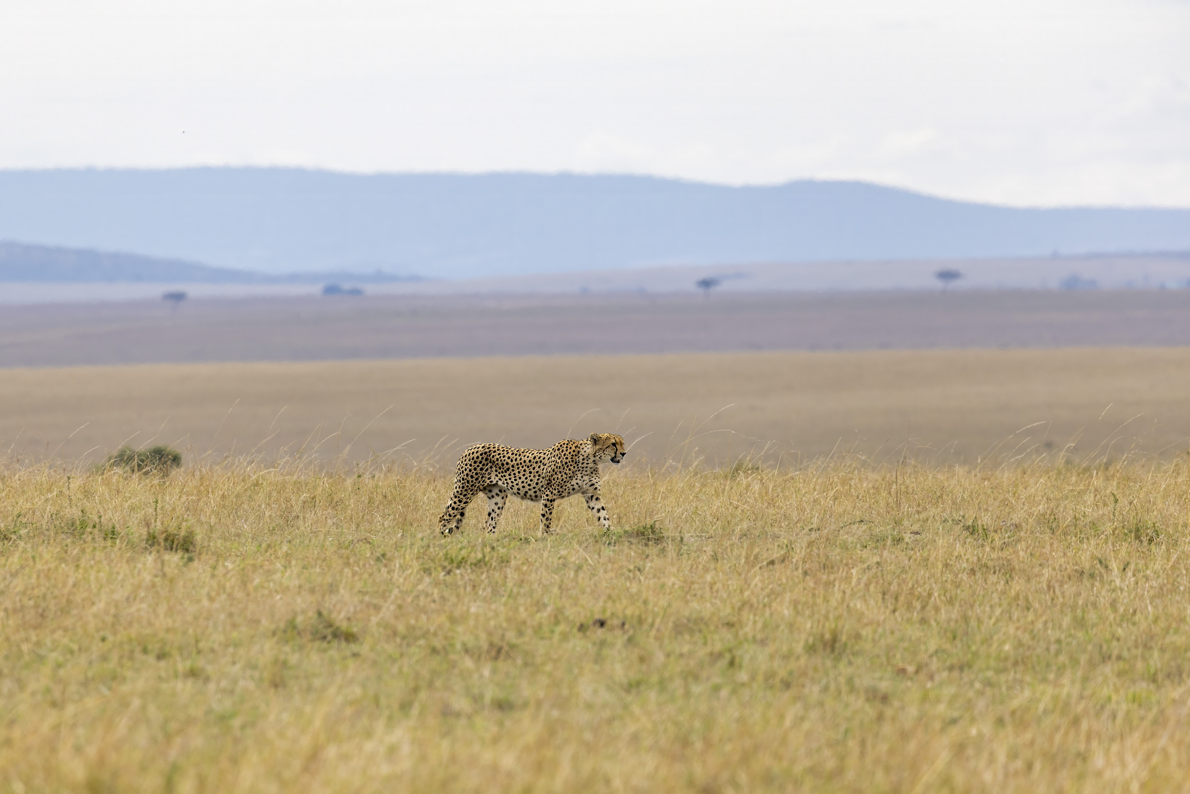 November 12, 2022-100431-Edit.jpg